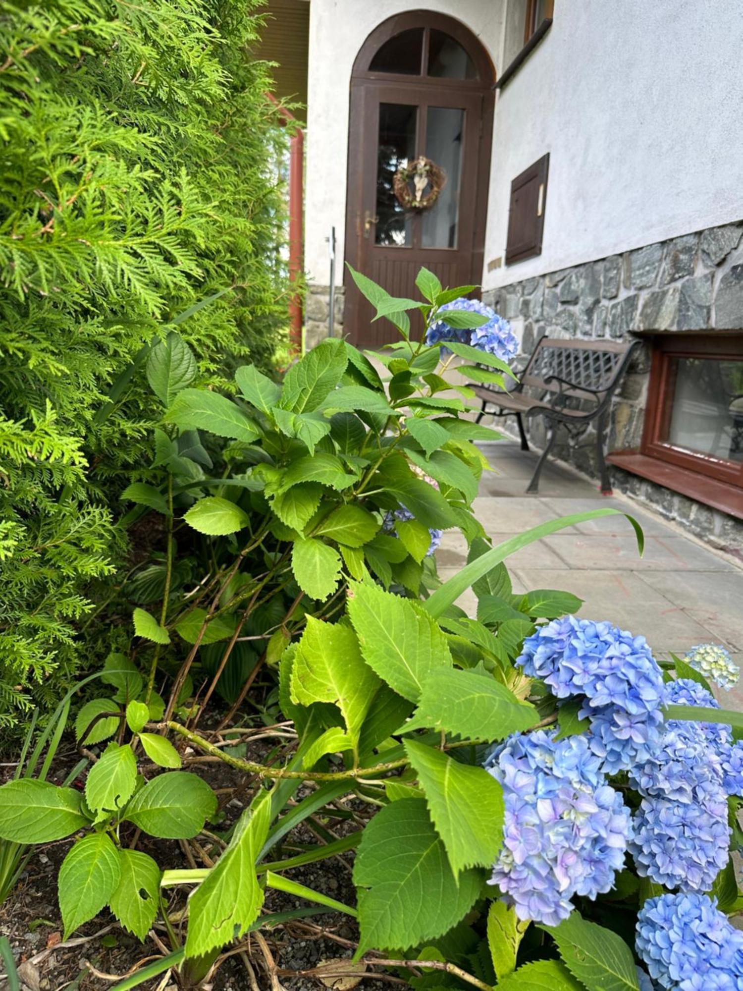 Penzion Harvanek Vlachovice Exteriér fotografie